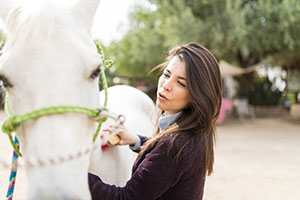 Animal Assisted Therapy