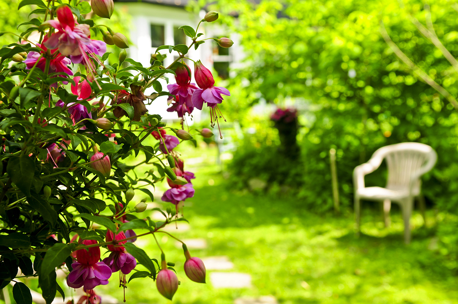 Garden at Rehab