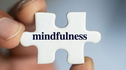 Mindfulness Based Therapy